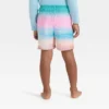 Toddler Boys' Scenic Beach Swim Shorts - Cat & Jack™ Pink/Blue 2 Toddler Boys' Scenic Beach Swim Shorts - Cat & Jack™ Pink/Blue -Kid Clothing GUEST f47defa0 5c4e 4dd0 880b 253c40151fea